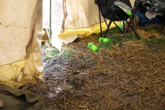 caffecon2_20080825_1312355177