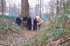 Gnade der Götter